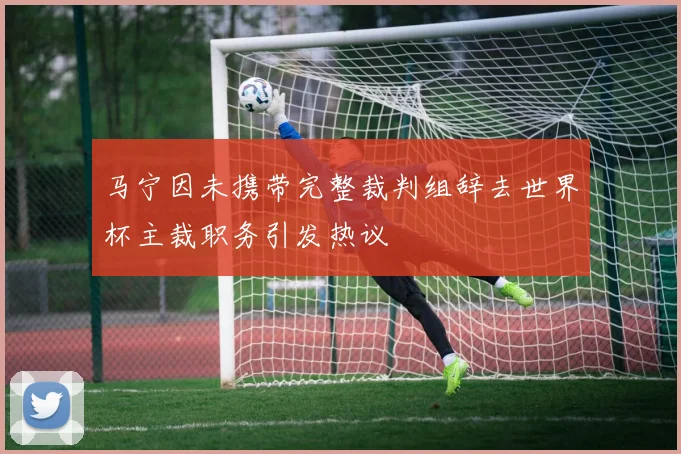 马宁因未携带完整裁判组辞去世界杯主裁职务引发热议