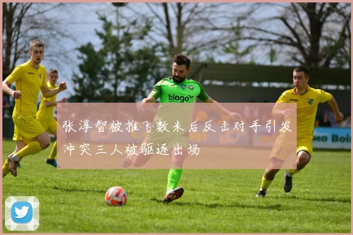 张淳智被推飞数米后反击对手引发冲突三人被驱逐出场