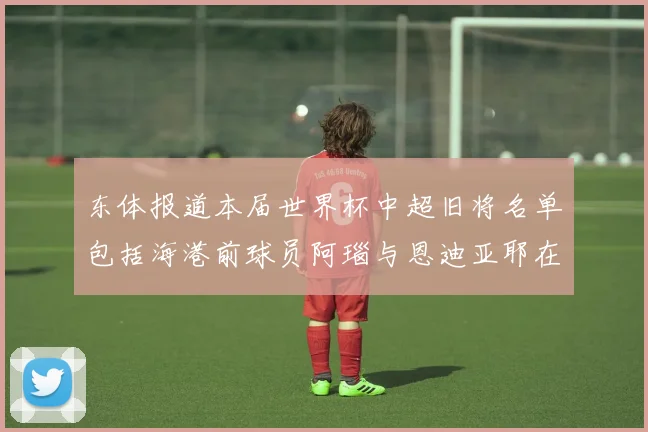 东体报道本届世界杯中超旧将名单包括海港前球员阿瑙与恩迪亚耶在内的10位球员