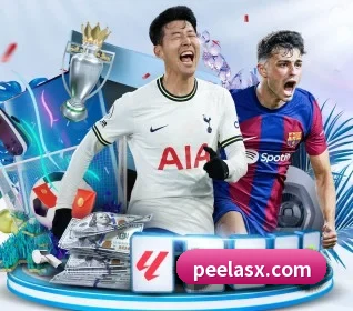 五个功能入口,赛程查询路径更短